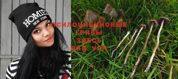 таблы Аркадак
